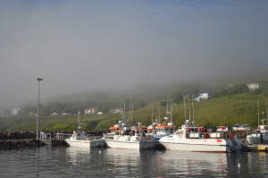 DSC_0752-001