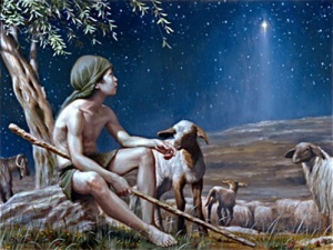 shepherd