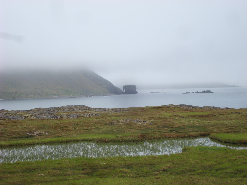 DSC06409