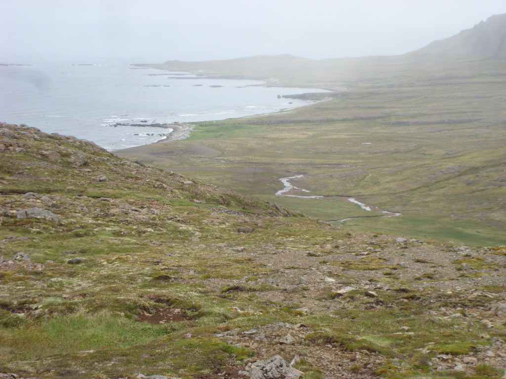 DSC06454