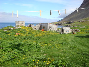 DSC06750