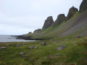 DSC06821