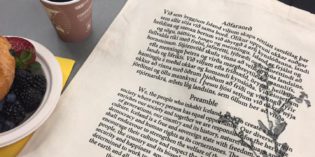 Hvaða máli skiptir ný stjórnarskrá? Hvaða máli skiptir ný stjórnarskrá?