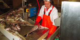 Vísir fékk hundruð milljóna ívilnanir frá hinu opinbera. Byggðakvóti og opinbert hlutafé