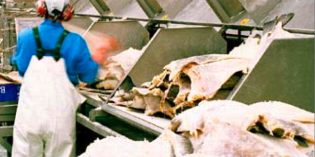 Vísismenn gerðu tilboð í blokk í Grindavík til að flytja þangað fólk frá Djúpavogi. Fá kostnaðinn dreginn frá veiðigjaldsgreiðslum